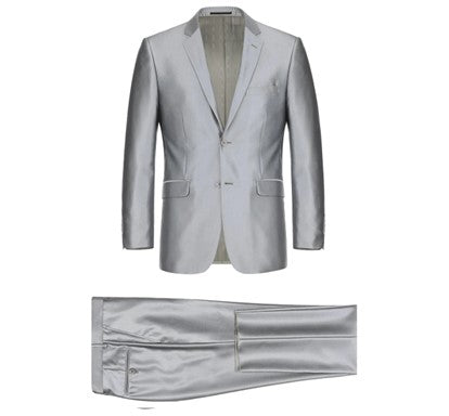 Renoir- 2 Piece Suit- Silver- 207-2